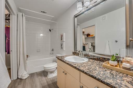 Bathroom with granite vanity and soaking tub at Vue Live Oak Apartments, Dallas, TX 75204