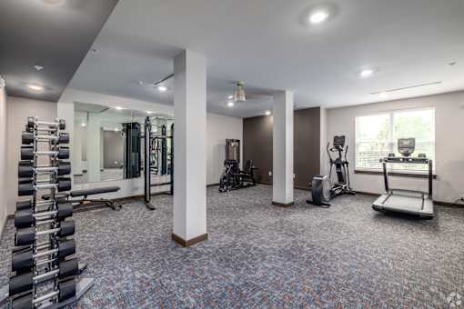A spacious gym with a variety of equipment including a treadmill, weights, and a bench press.