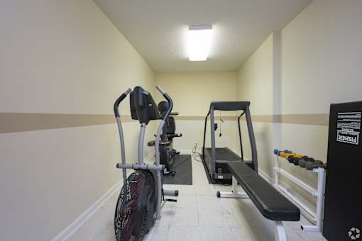 A gym room with a rowing machine, a bench, and a dumbbell rack.
