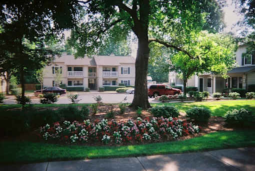 A tree in a flower bed in front of a building.