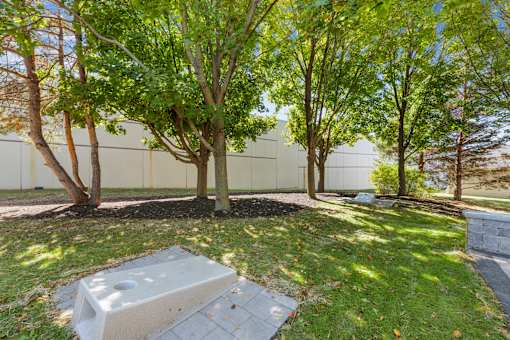 A backyard with a tree and a concrete slab.