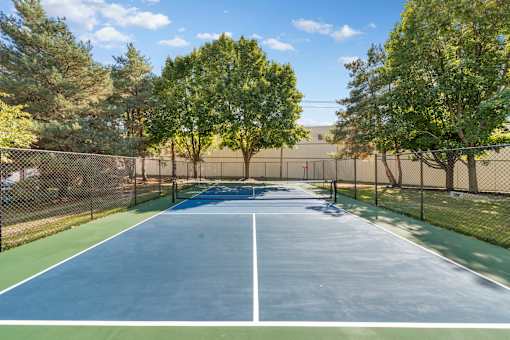 A pickleball court surrounded by a fence and trees.