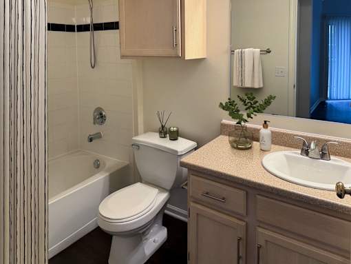 A white toilet sits next to a sink in a bathroom.