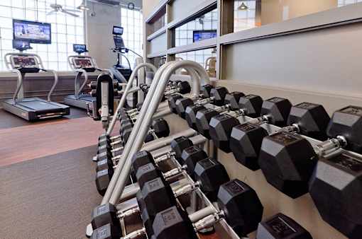 free weights in the Ovaltine Court fitness center