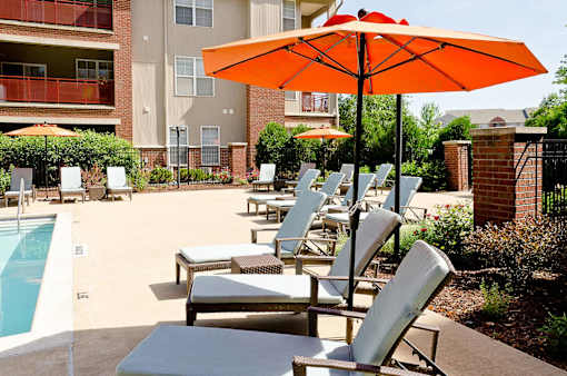 lounge chairs and umbrellas pool-side at Ovaltine Court
