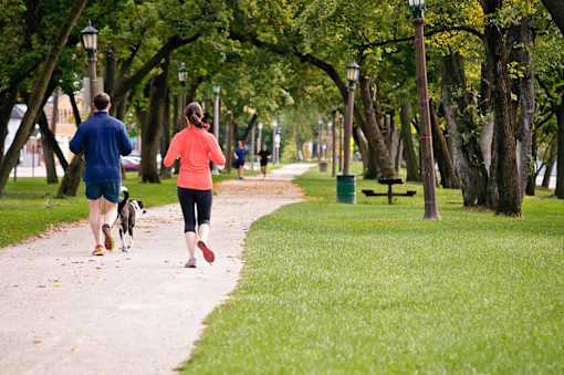a man and a woman are running in a park with a dog