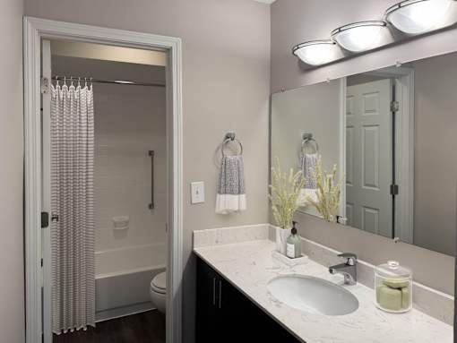 A bathroom with a white sink and a mirror.