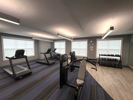 A gym with treadmills, elliptical machines, and dumbbells.