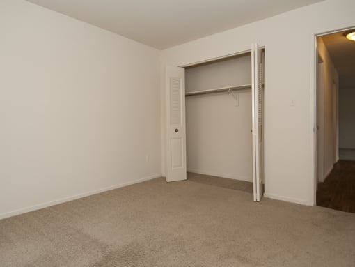 Carpet in bedroom with closet space