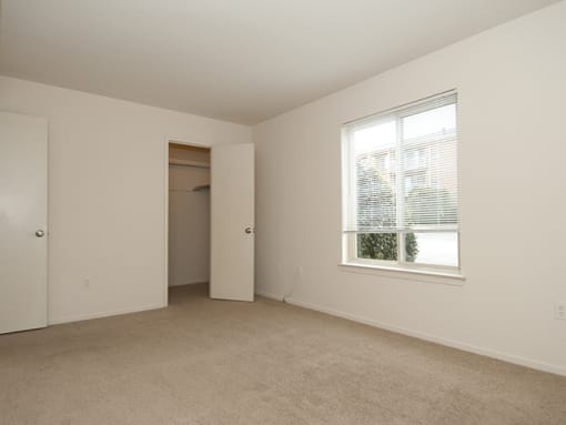 Bedroom with large window and carpet flooring