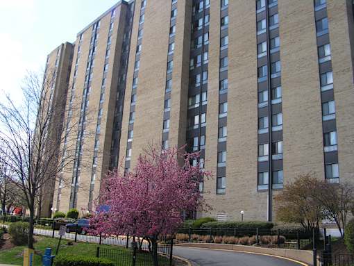 A tall building with a tree in front of it.