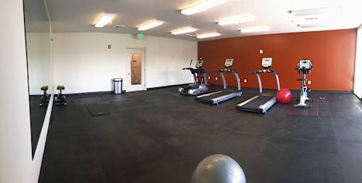 A gym with a row of treadmills and exercise balls.