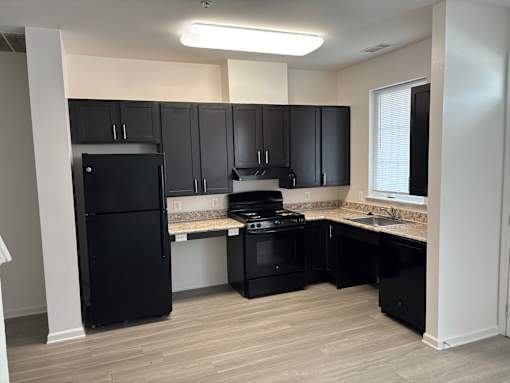 A kitchen with black appliances and cabinets.