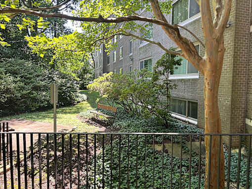 A tree in front of a building with a fence in the foreground.