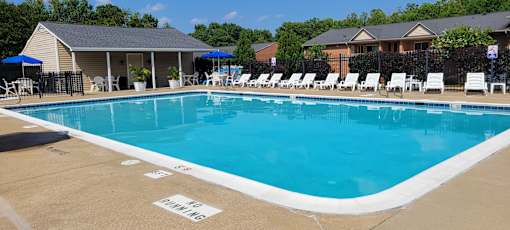 A large swimming pool with a white line on the ground that says "NO DIVING".