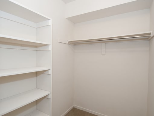 Walk-in storage with shelving