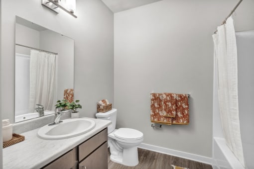 a bathroom with a sink toilet and a mirror