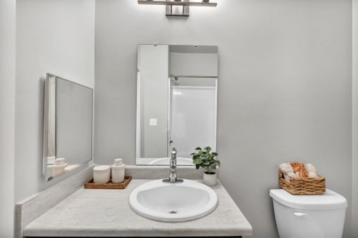 a bathroom with a sink and a mirror and a toilet