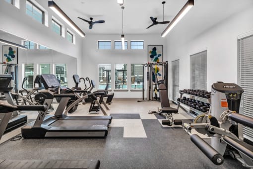 the gym with treadmills and other exercise equipment