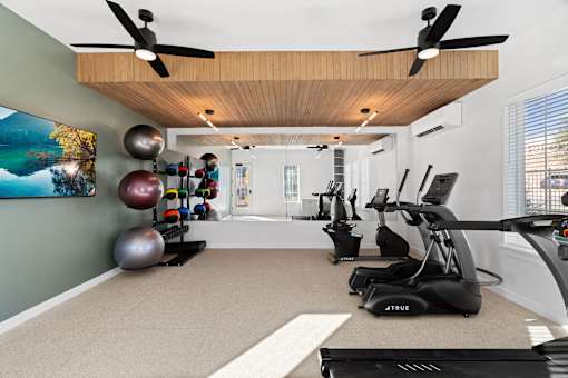 a gym with weights and cardio equipment and a tv on the wall