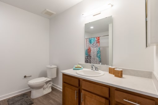 a bathroom with a white sink and toilet and a mirror