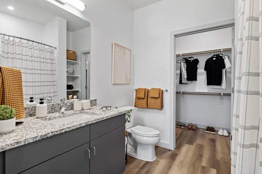 a bathroom with a vanity and a toilet and a closet
