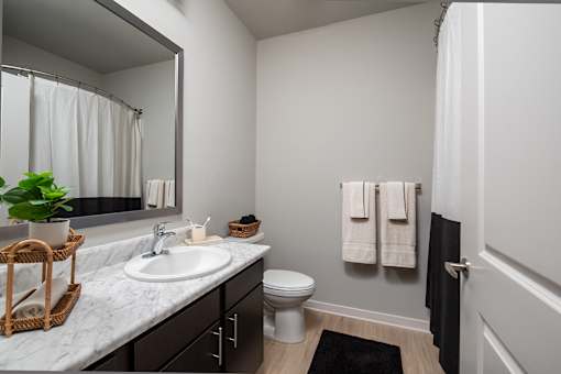Modern bathroom with a sleek vanity countertop, dark cabinetry, and a large mirror, complemented by a full bathtub with shower and clean, neutral finishes.