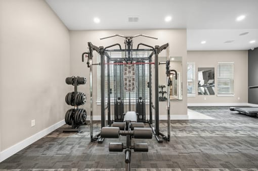an exercise room with weights and cardio equipment in a home
