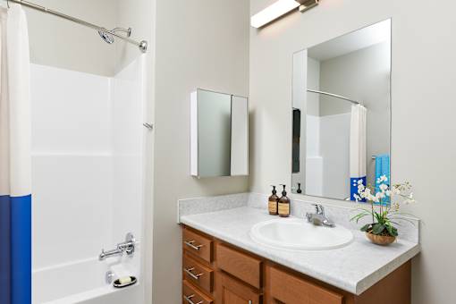 A bathroom with a white sink and a white and blue shower.