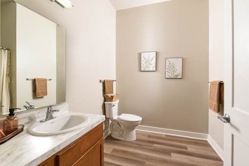 Model apartment bathroom at The Davis II in Cleveland, featuring a white vanity with sink, toilet, neutral walls, wood-style flooring, and simple wall décor.
