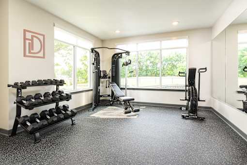 Fitness center at The Davis II in Cleveland, featuring strength-training equipment, free weights, cardio machines, and large windows overlooking the outdoor greenery.