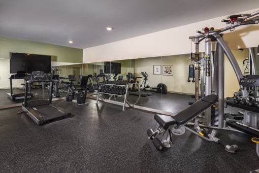 a large fitness room with weights and cardio equipment