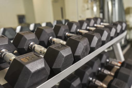 a row of dumbbells in a gym