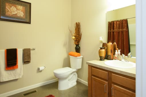 a bathroom with a toilet and a sink and a mirror