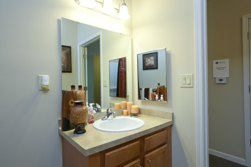 a bathroom with a sink and a mirror