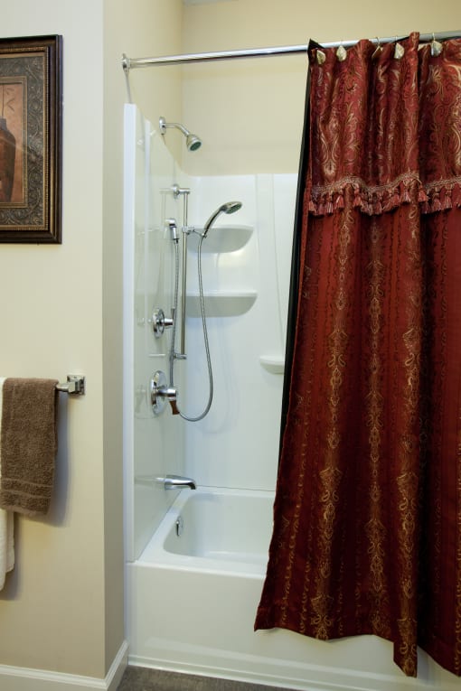 a bathroom with a shower and a shower curtain