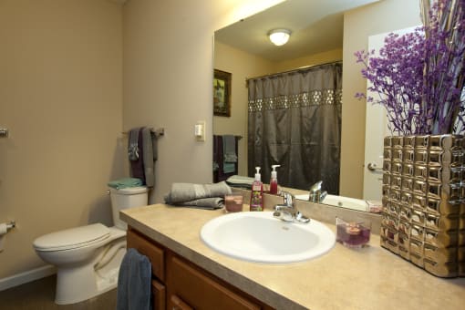 a bathroom with a sink and a toilet and a mirror