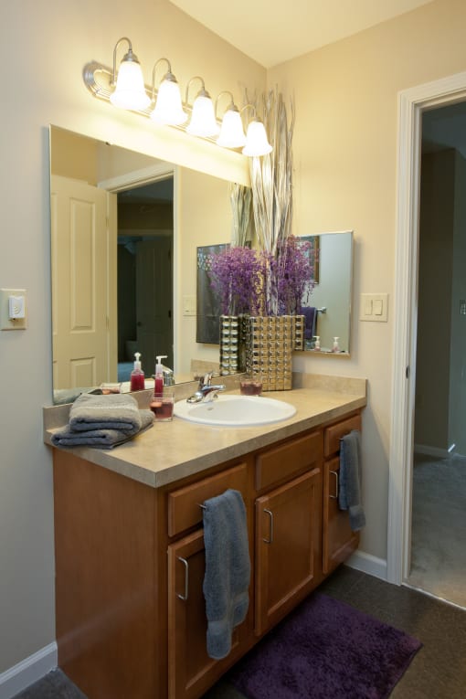 a bathroom with a sink and a mirror
