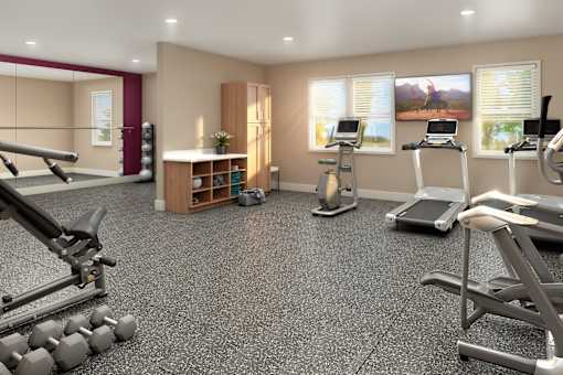 A gym with treadmills, weights, and exercise equipment.