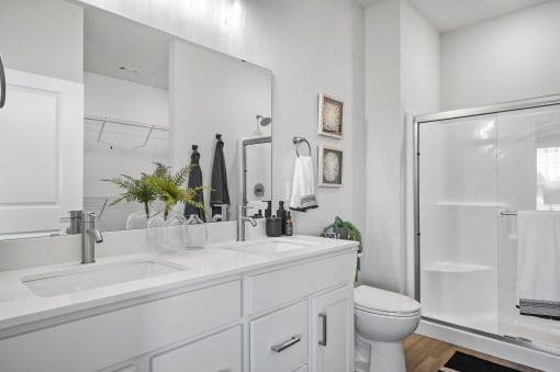a bathroom with a sink and a toilet and a shower