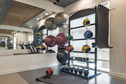 A gym with a variety of weights and a mirror.