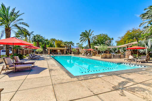 A large swimming pool surrounded by palm trees and lounge chairs.