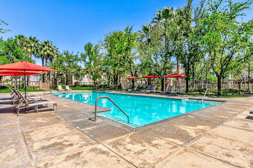 A large outdoor swimming pool surrounded by trees and lounge chairs.
