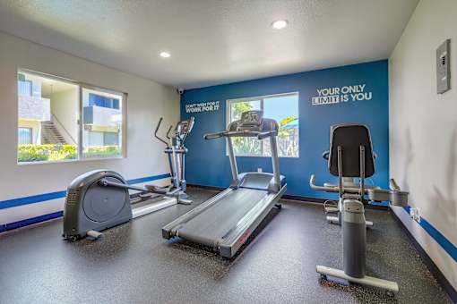 A gym with a treadmill, elliptical trainer and a stationary bike.
