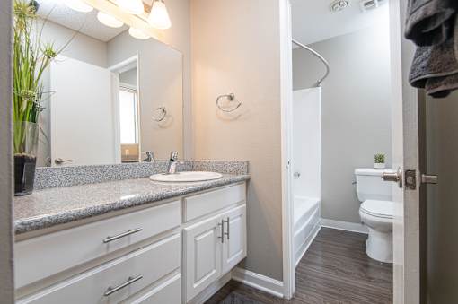 A bathroom with a sink, mirror, and toilet.