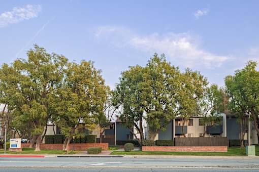 A row of trees in front of a building.