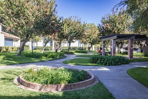 A garden with a circular flower bed and a wooden pergola.