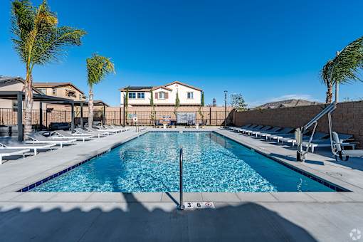 A large swimming pool surrounded by palm trees and lounge chairs.