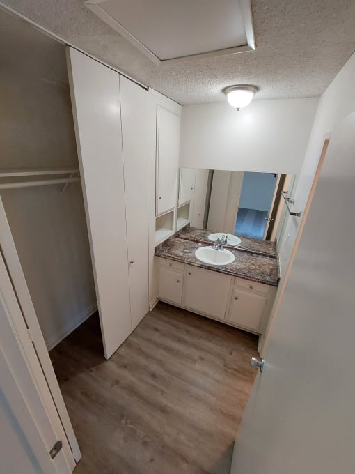 Closet and Vanity Sink