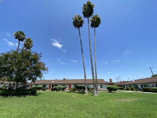 Orangewood Garden Apartment Homes in Anaheim